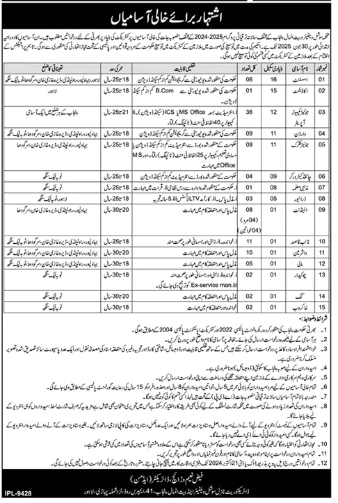 Social Welfare Department Jobs 2024